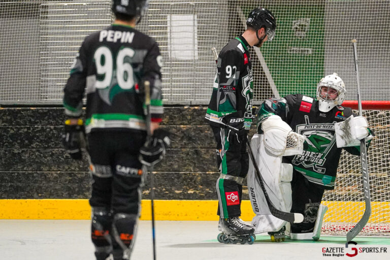 green falcons de pont de metz v hawks d’angers Élite journée 10 pont de metz