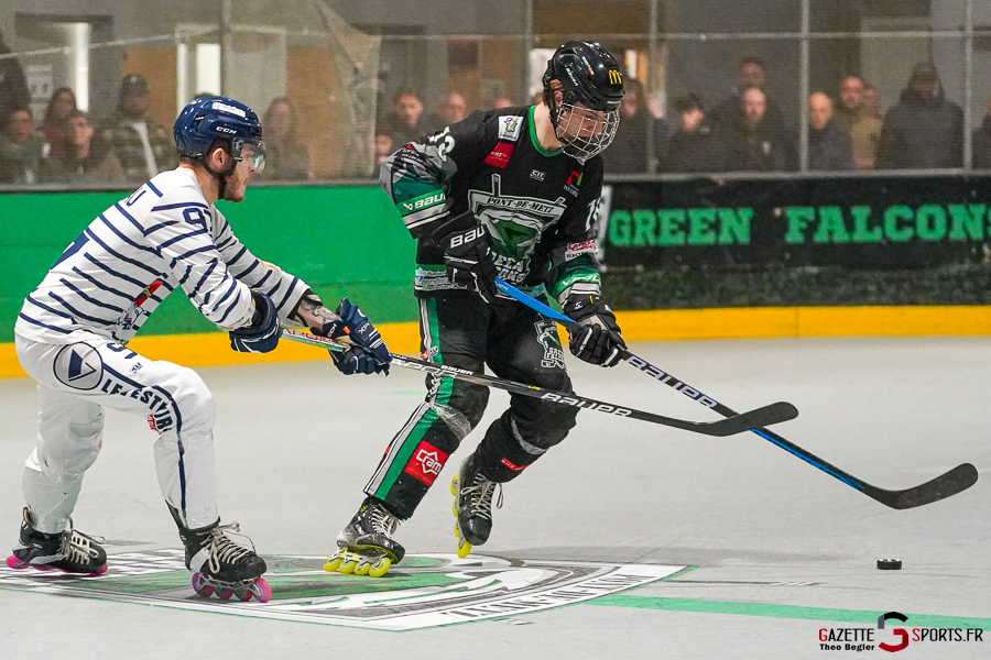green falcons de pont de metz v hawks d’angers Élite journée 10 pont de metz