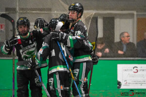 green falcons de pont de metz v hawks d’angers Élite journée 10 pont de metz