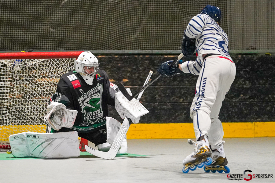 green falcons de pont de metz v hawks d’angers Élite journée 10 pont de metz