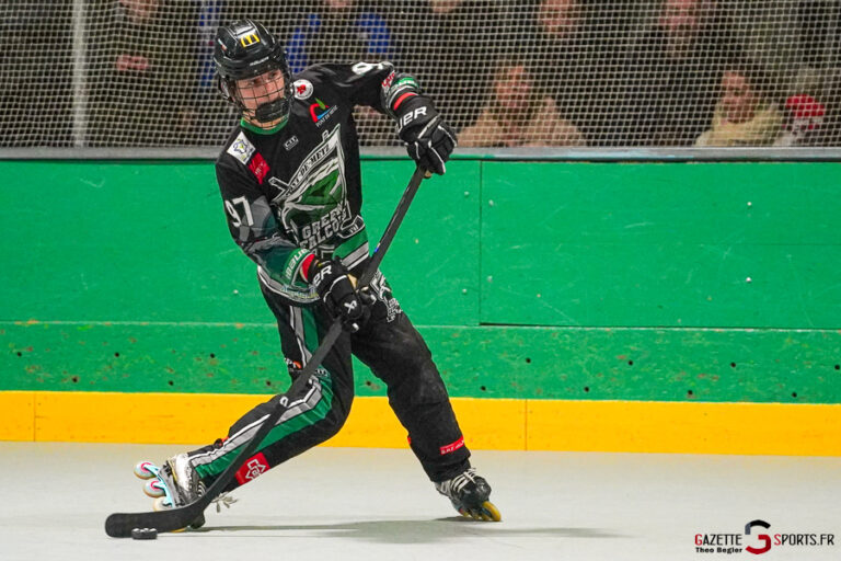 green falcons de pont de metz v hawks d’angers Élite journée 10 pont de metz