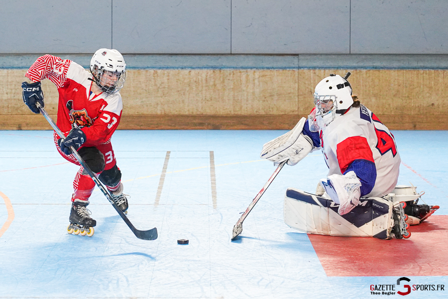 north squirrels entente amiens/lille v yéti’s de grenoble nationale 1 journée 6 match 2 amiens