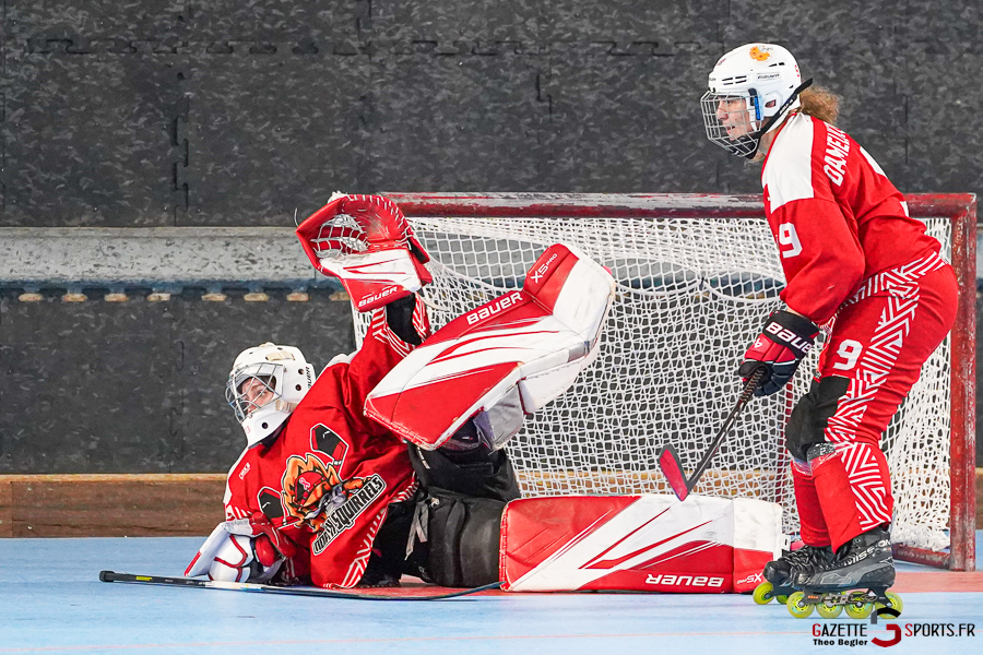 north squirrels entente amiens/lille v yéti’s de grenoble nationale 1 journée 6 match 2 amiens