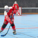 north squirrels entente amiens/lille v yéti’s de grenoble nationale 1 journée 6 match 2 amiens