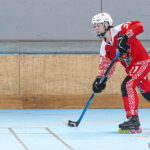 north squirrels entente amiens/lille v yéti’s de grenoble nationale 1 journée 6 match 2 amiens