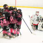gothiques d’amiens v jokers de cergy pontoise coupe de france quarts de finale amiens