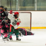 hockey sur glace coupe de france feminine quarts de finale gothiques amiens jokers cergy pontoise gazette sports theo begler 007