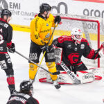 gothiques d’amiens v dragons de rouen ligue magnus journée 40 amiens