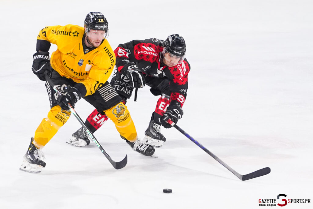 hockey sur glace ligue magnus j40 gothiques amiens dragons rouen gazette sports theo begler 013