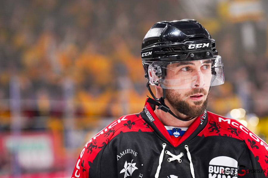 gothiques d’amiens v dragons de rouen ligue magnus journée 40 amiens