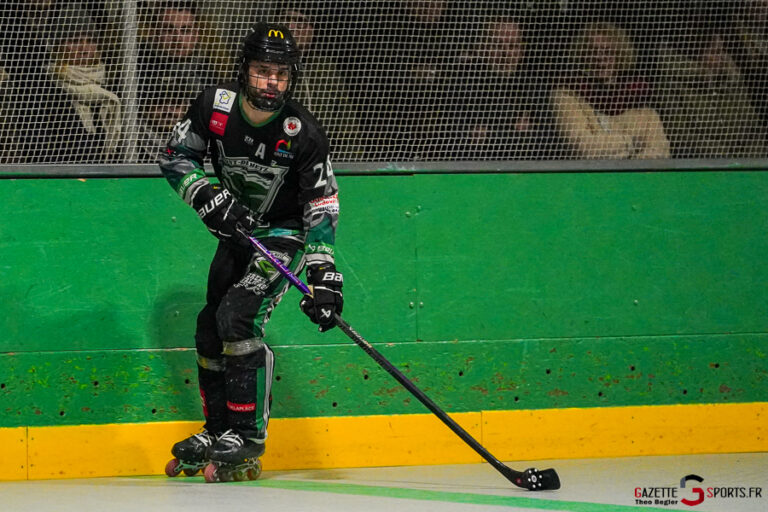 green falcons de pont de metz v conquérants de caen Élite journée 12 pont de metz