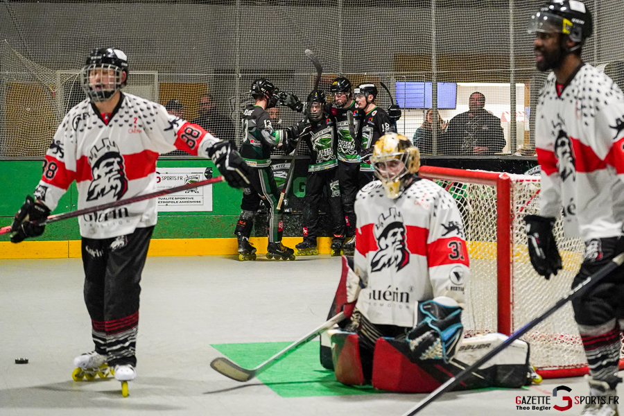 green falcons de pont de metz v conquérants de caen Élite journée 12 pont de metz