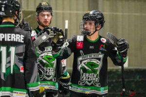 green falcons de pont de metz v conquérants de caen Élite journée 12 pont de metz