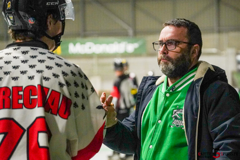 green falcons de pont de metz v conquérants de caen Élite journée 12 pont de metz