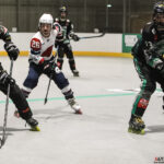 Roller-Hockey_Les-Green-Falcons_les-Alchimistes-e-Bourges_Mars-2026_Gazettesports_Daubenton_Eva-23