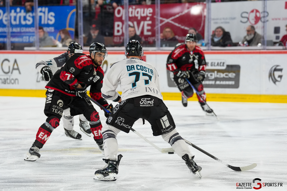 hockey sur glace ligue magnus j42 amiens marseille gazette sport alexis cazeel 35