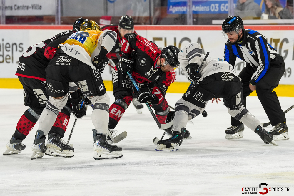 hockey sur glace ligue magnus j42 amiens marseille gazette sport alexis cazeel 38