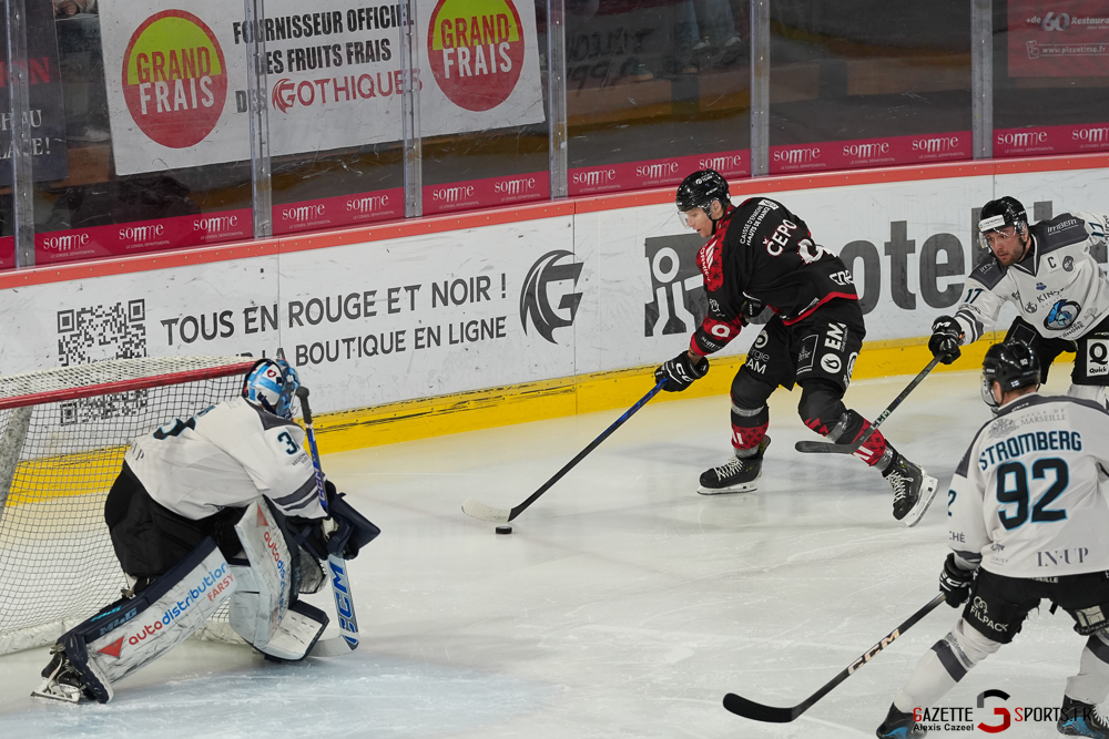 hockey sur glace ligue magnus j42 amiens marseille gazette sport alexis cazeel