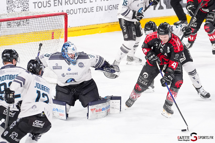 gothiques d’amiens v spartiates de marseille ligue magnus journée 42 amiens