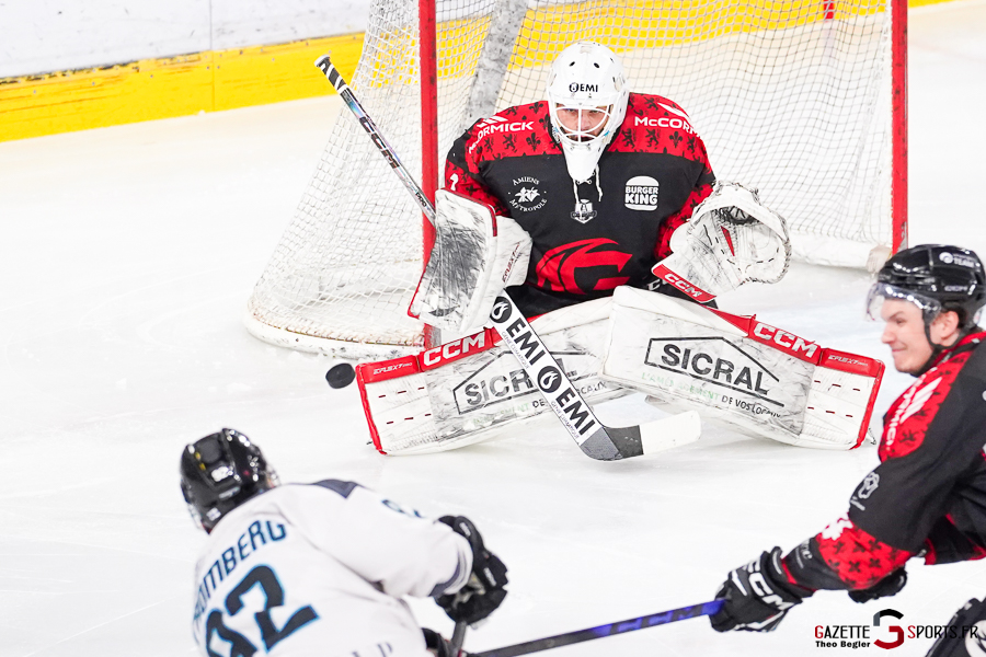 gothiques d’amiens v spartiates de marseille ligue magnus journée 42 amiens