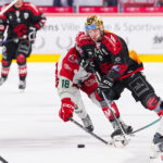 gothiques d’amiens v jokers de cergy pontoise ligue magnus journée 44 amiens