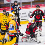 hockey sur glace ligue magnus playoffs match 3 gothiques amiens dragons rouen gazette sports theo begler 011