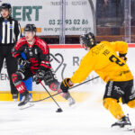 gothiques d’amiens v dragons de rouen ligue magnus playoffs match 3 amiens