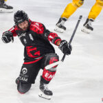 hockey sur glace ligue magnus playoffs match 4 gothiques amiens dragons rouen gazette sports theo begler 0003