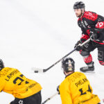 gothiques d’amiens v dragons de rouen ligue magnus playoffs quarts de finale match 4 amiens