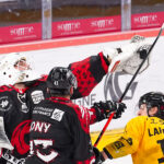 gothiques d’amiens v dragons de rouen ligue magnus playoffs quarts de finale match 6 amiens