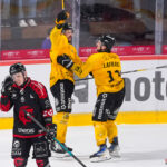 hockey sur glace ligue magnus playoffs quarts de finale match 6 gothiques amiens dragons rouen gazette sports theo begler 013