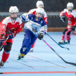 north squirrels entente amiens/lille v vikings de cherbourg nationale 1 journée 8 match 2 amiens