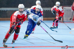 north squirrels entente amiens/lille v vikings de cherbourg nationale 1 journée 8 match 2 amiens