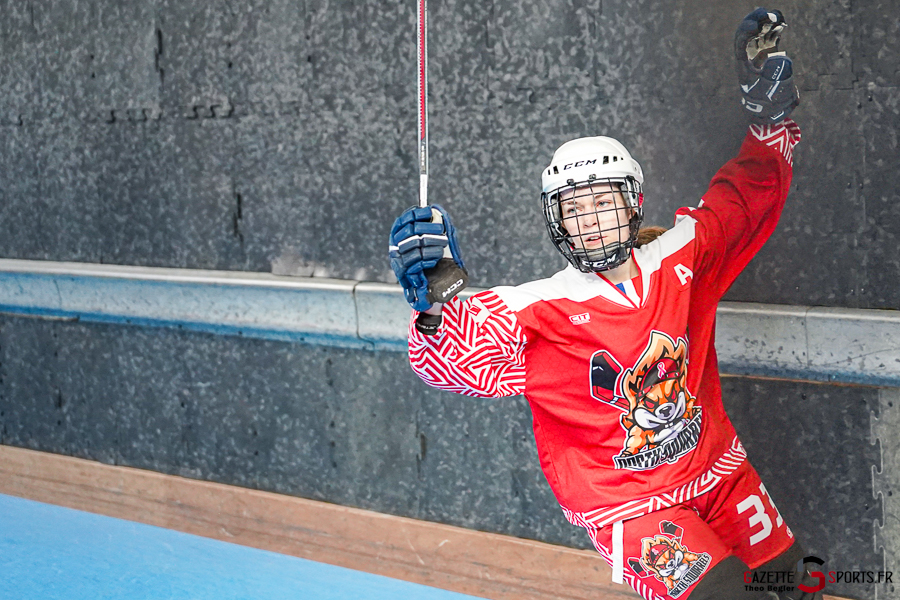 north squirrels entente amiens/lille v vikings de cherbourg nationale 1 journ&eacute;e 8 match 2 amiens