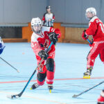 north squirrels entente amiens/lille v vikings de cherbourg nationale 1 journée 8 match 2 amiens