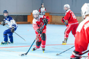 north squirrels entente amiens/lille v vikings de cherbourg nationale 1 journée 8 match 2 amiens