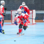 north squirrels entente amiens/lille v vikings de cherbourg nationale 1 journée 8 match 2 amiens