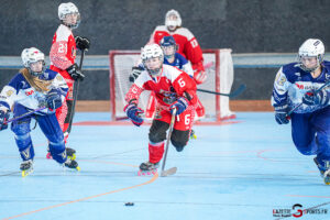 north squirrels entente amiens/lille v vikings de cherbourg nationale 1 journée 8 match 2 amiens