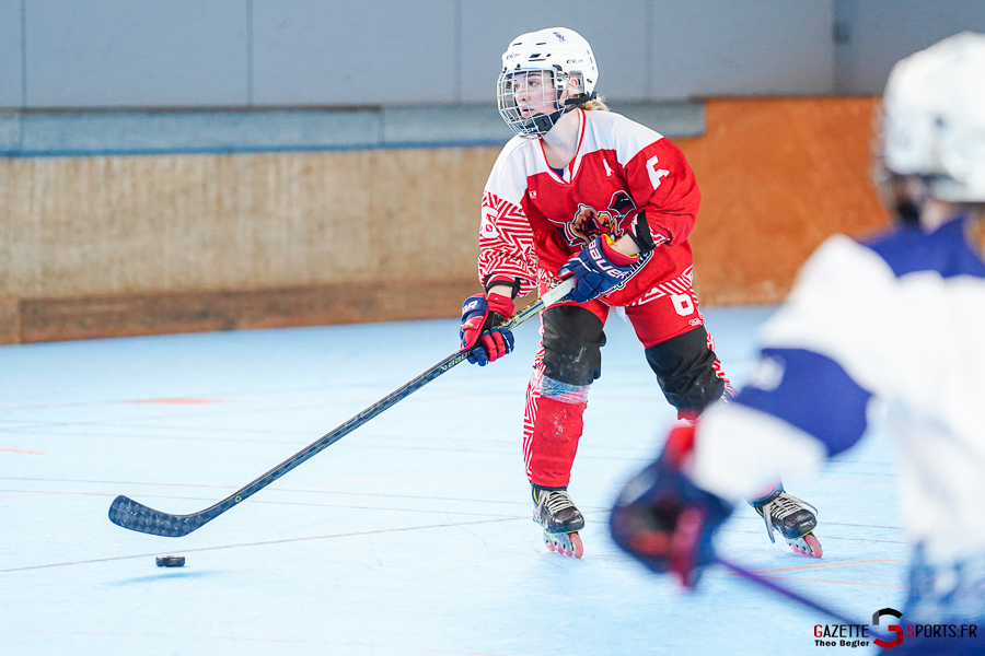 north squirrels entente amiens/lille v vikings de cherbourg nationale 1 journ&eacute;e 8 match 2 amiens