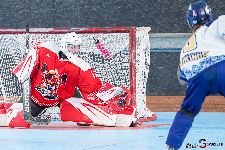 north squirrels entente amiens/lille v vikings de cherbourg nationale 1 journ&eacute;e 8 match 2 amiens