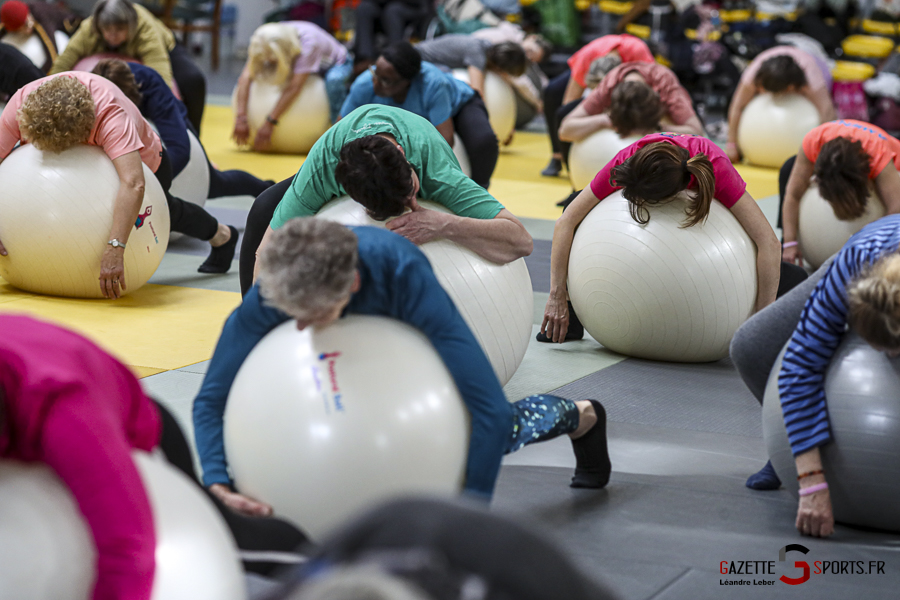 postural ball 10 ans amiens nadine garcia marie france dojo 060 leandre leber gazettesports