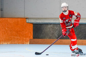 Écureuils d’amiens v hocklines de toulouse nationale 1 playoffs quarts de finale match 2