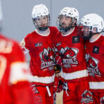 roller hockey nationale 1 1/2 finale playoffs match 3 : écureuils d’amiens v corsaires de la teste