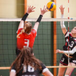 volleyball nationale2 lamvb hallluin j21 gazettesports alexis cazeel 20