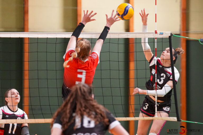 volleyball nationale2 lamvb hallluin j21 gazettesports alexis cazeel 20