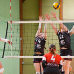 volleyball nationale2 lamvb hallluin j21 gazettesports alexis cazeel 23