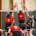 volleyball nationale2 lamvb hallluin j21 gazettesports alexis cazeel 24