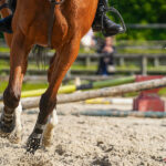 equitation centre equestre de picardie cep gazette sports theo begler 001