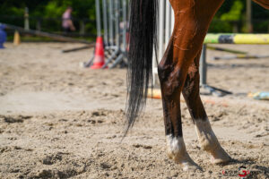 equitation centre equestre de picardie cep gazette sports theo begler 002