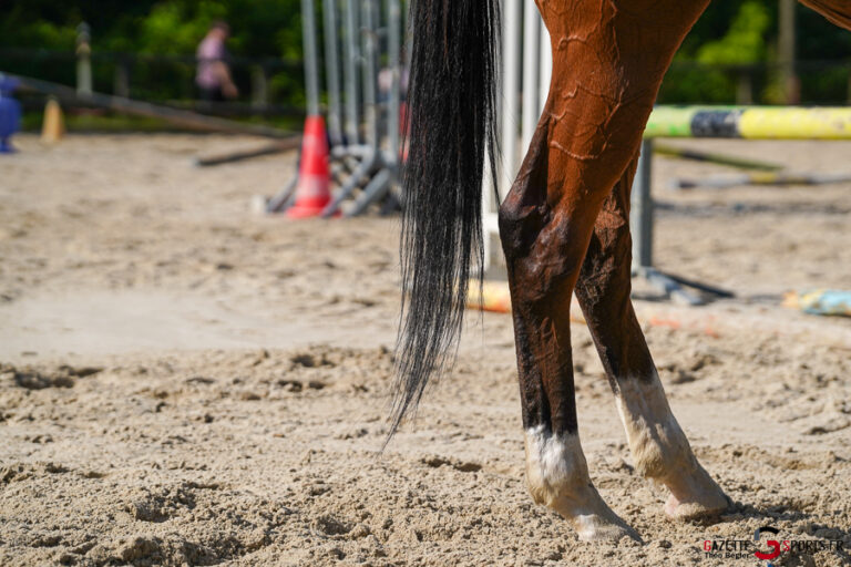 equitation centre equestre de picardie cep gazette sports theo begler 002